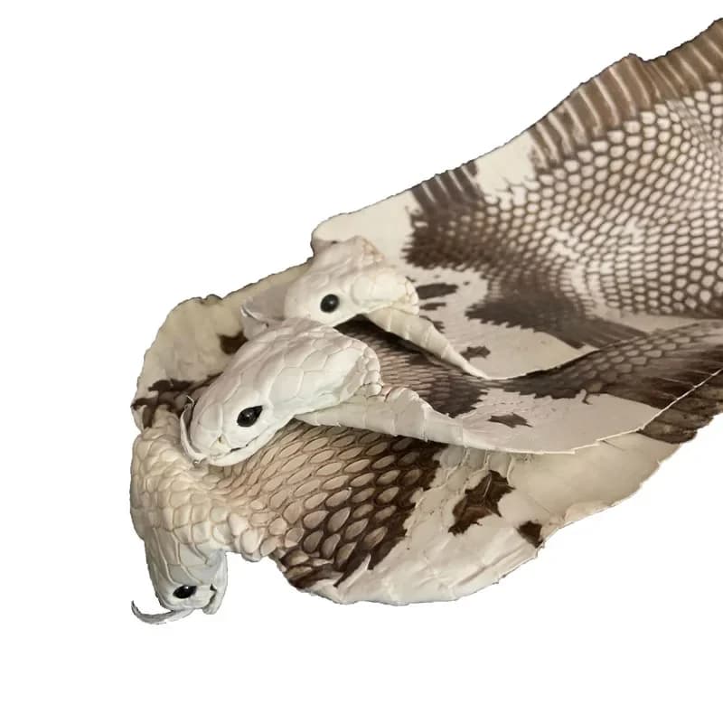 Pezzo intero in vera pelle di serpente color naturale