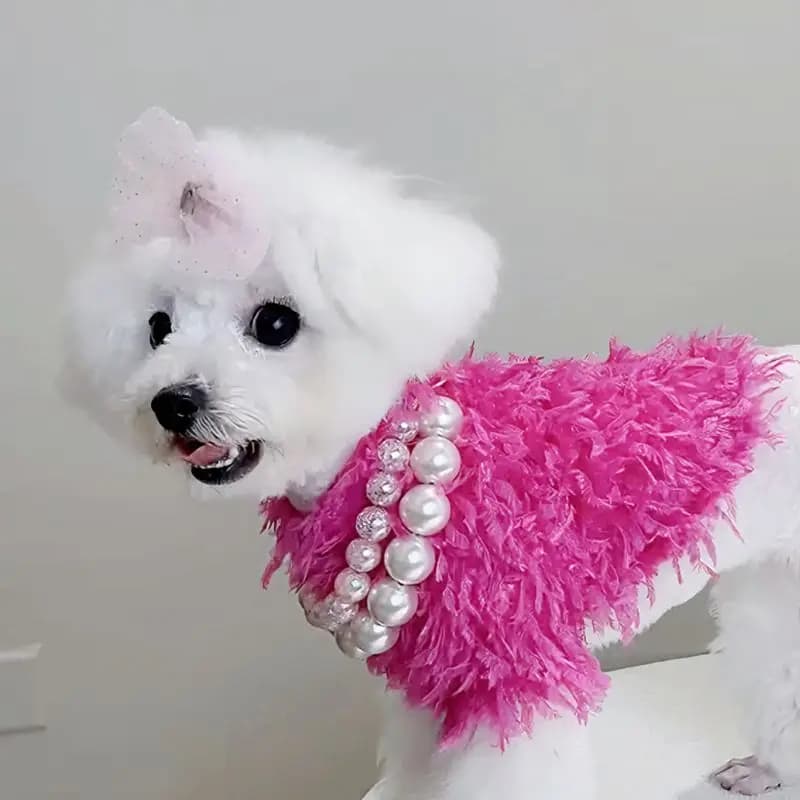 Maglione di Lusso per Cani, Abbigliamento in Pelliccia, Felpa con Cappuccio Invernale Calda per Cani di Piccola Taglia, Rosa, Viola, Abbigliamento per Cuccioli