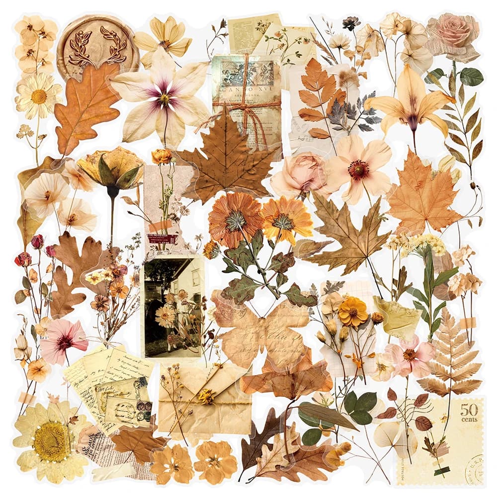 10/30/50pcs Transparent Dried Flower Leaf Specimens Stickers Aesthetic Decorative Stationery Diary Phone Case Retro Sticker Pack