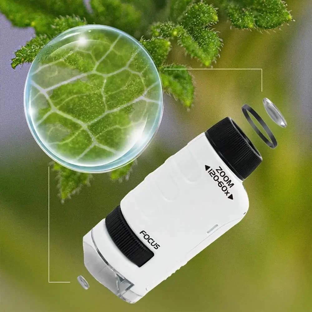 Microscopio Tascabile 60-120X con Luce LED, Kit Microscopio Portatile per Esterni, Mini Set Educativo Scientifico