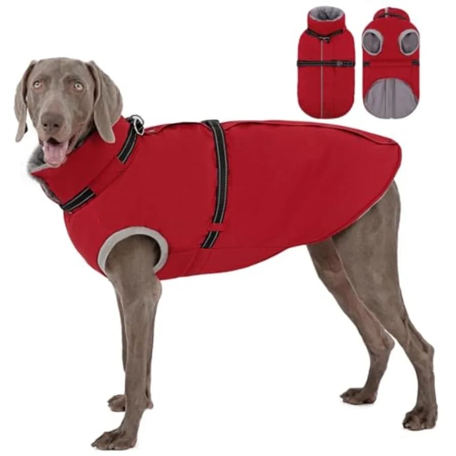 Cappotto Invernale per Cani con Imbracatura Integrata, Giacca Impermeabile per Animali Domestici con Cerniera Posteriore, Maglione in Pile per Esterni