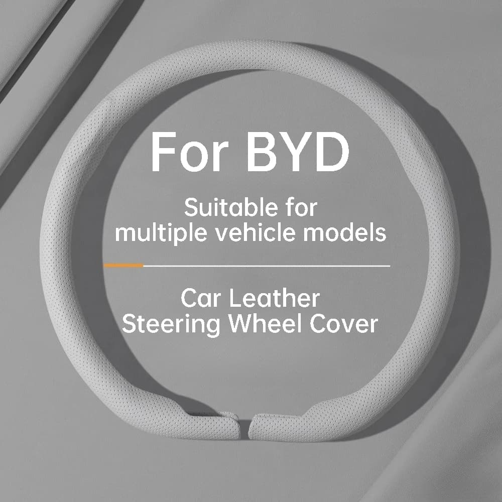 BYD Dolphin Denza B5 Dolphin Surf Han EV Seal U Sealion 6 8 ATTO 2 3 8 Tang Seal 6 EV DM-i