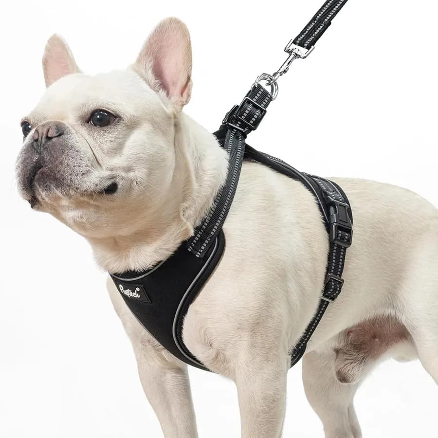 Set di pettorina e guinzaglio per cani Gilet per cuccioli riflettente riflettente regolabile di piccole dimensioni a prova di fuga Pettorina da passeggio senza tirare Facile controllo