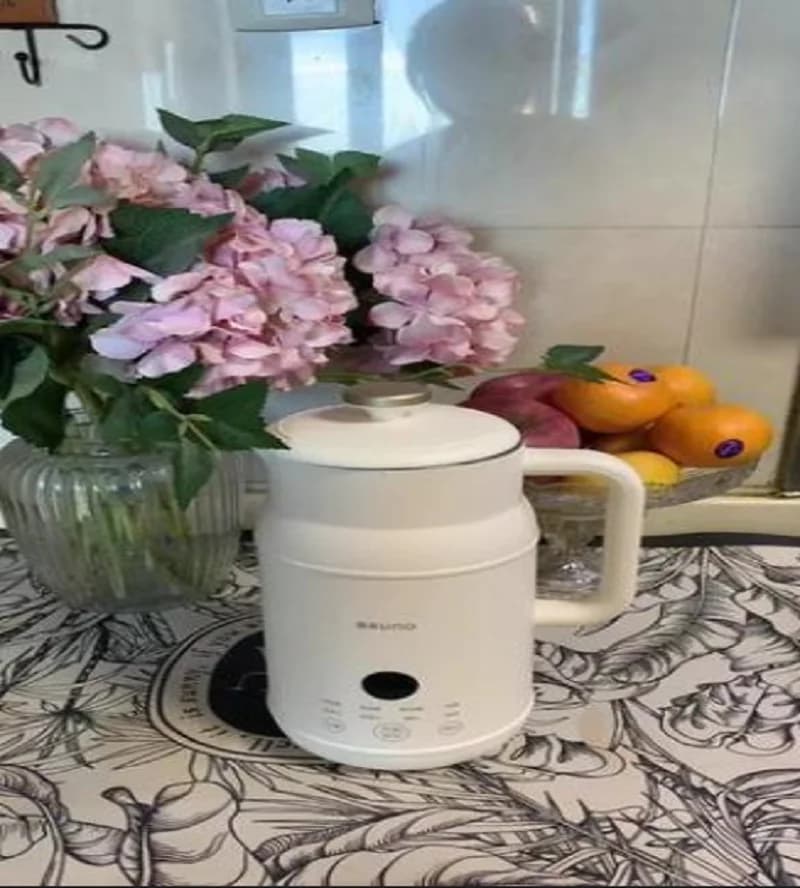 110V/220V Electric Kettle Smart Home Appliance for USA Japan Canada with Keep Warm Function DS