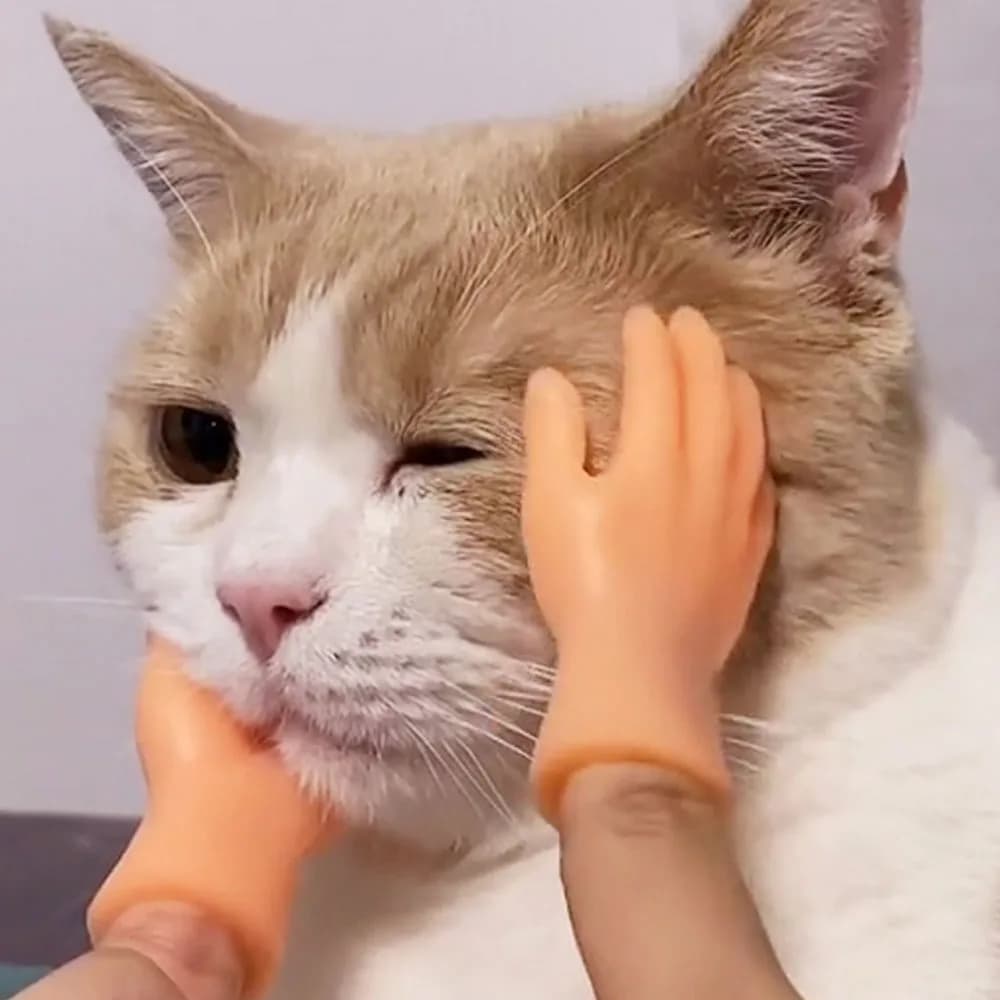 Giocattoli novità per bambini adulti Divertenti mini mani Creative Finger Fidget Toys Simulazione Morbida piccola mano Stuzzicare la simulazione del giocattolo dell'animale domestico del gatto