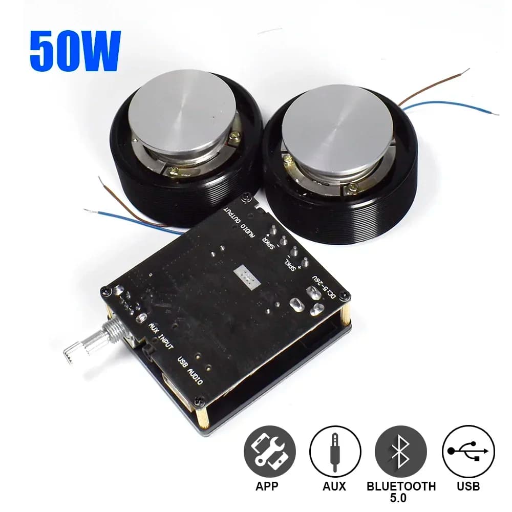 1 Set 50W 2.0 HIFI Vibrazione Altoparlante Stereo Portatile Audio Altoparlante Bluetooth 5.0 Classe D Sistema di Amplificatore FAI DA TE Home Theater