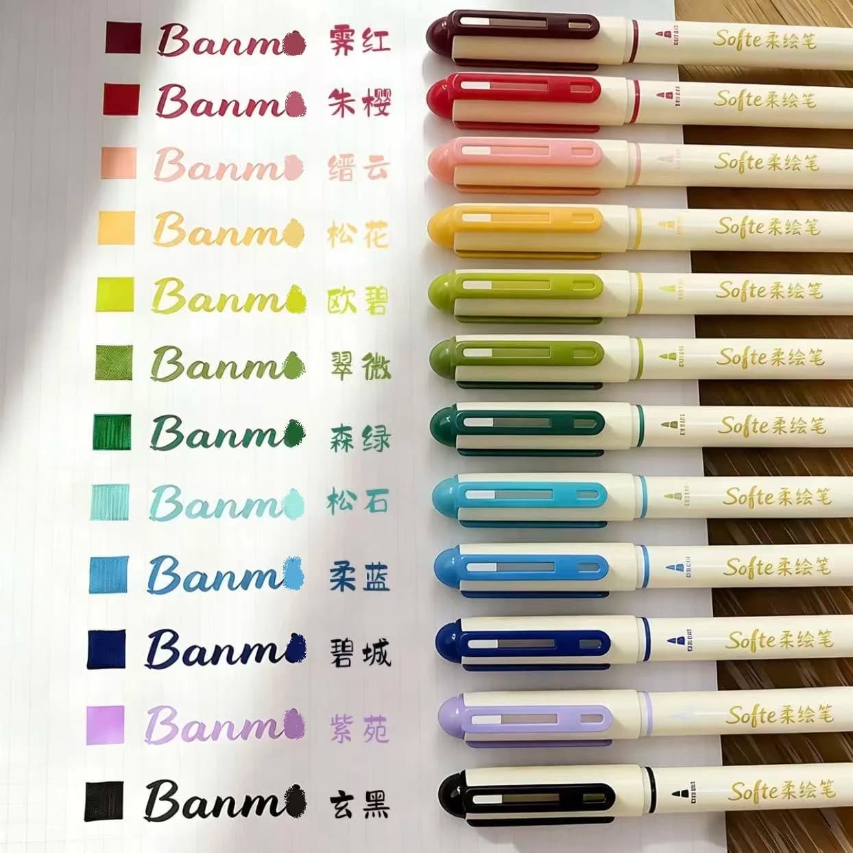 12pcs Soft-Tip Brush Pen Set, Perfect for Calligraphy & Art Projects