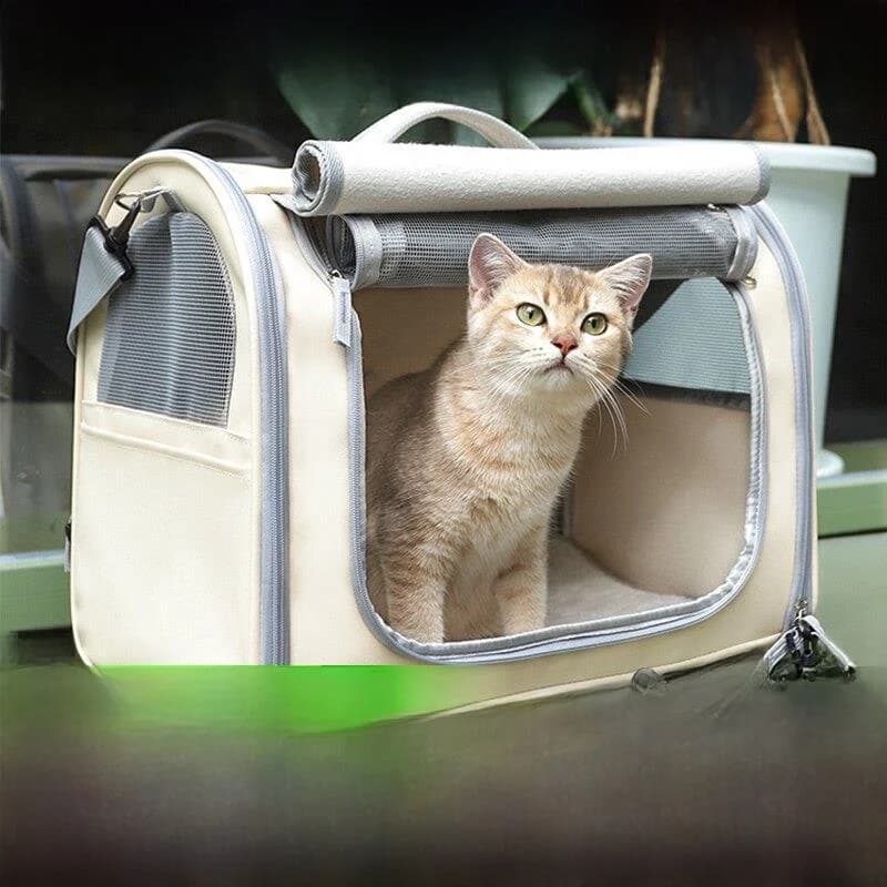 Borsa Trasportabile per Cani, Traspirante, con Ampio Spazio, per Uso Esterno, Accessori per Animali Domestici, Zaino e Borsa Box
