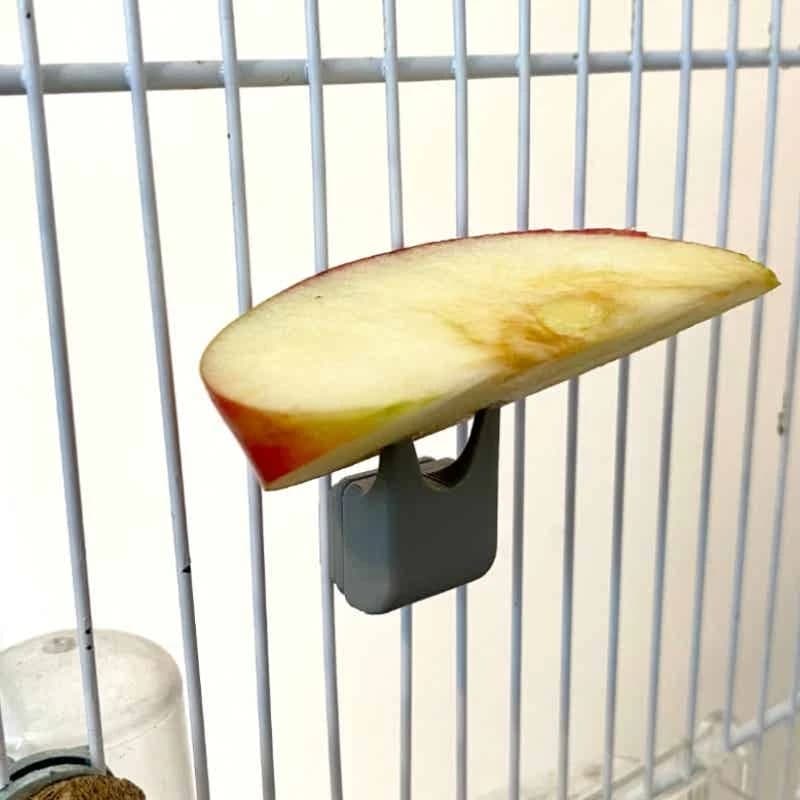 Bird Cage Fruit Vegetable Rack Pet Feeding Stand Hanging Food Holder for Parrot Budgie Cockatiel Cage Accessory