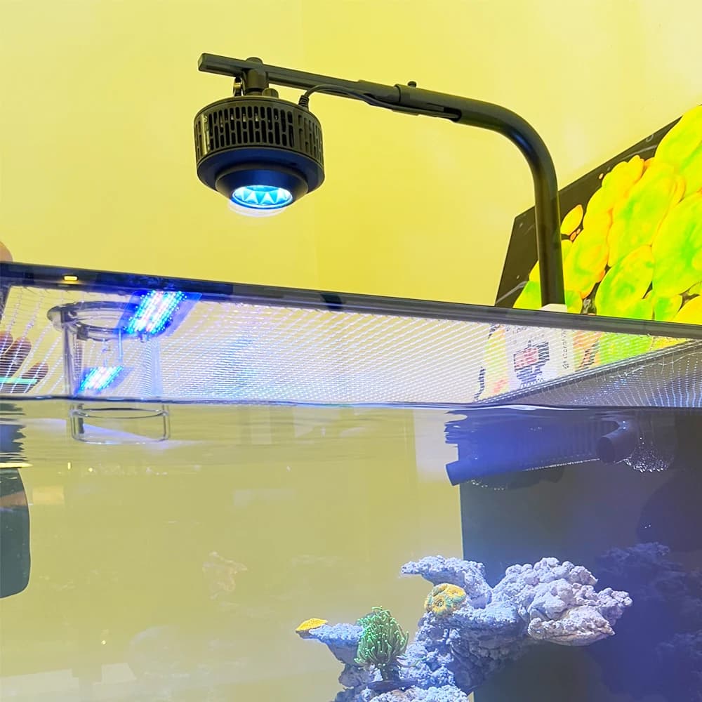 Luce per acquario a LED dimmerabile programmabile a 6 canali con controllo APP WiFi da 100 W per serbatoio di barriera corallina d'acqua salata