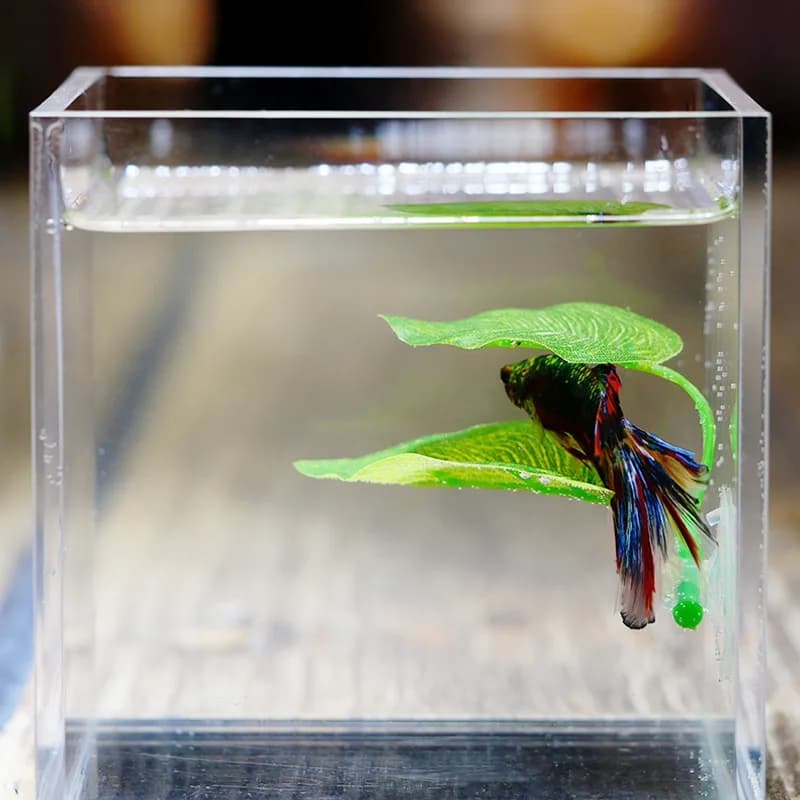 Artificial Plants for Aquarium, Betta Fish Decoration, Ornamental Plants for Rest and Reproduction, Fish Game and Relaxation Loving