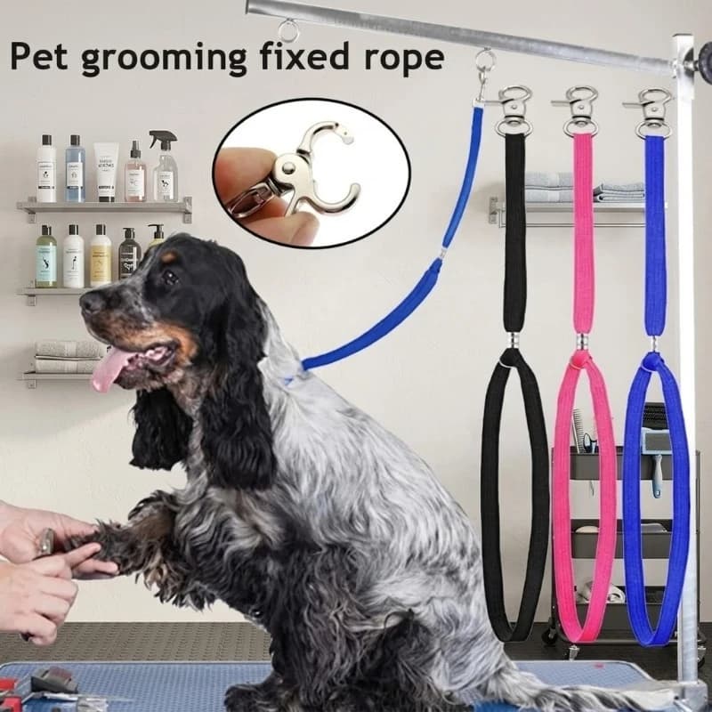 Adjustable Pet Grooming Fixed Rope Quick Release Lock Clip for Dog Cat Safety Multi Color Tangle Free Nylon Restraint