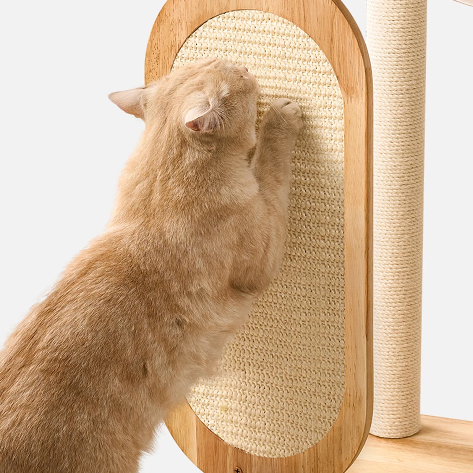 Solid Rubber Wood Cat Climbing Frame with Scratching Posts Easy Clean Cute Climb Frame Beds for Multiple Large Cats
