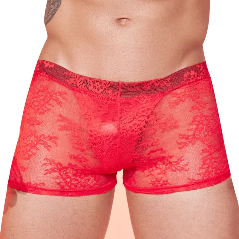 Sissy Lingerie for men Ultra-thin lace pattern Gays imitates panties Mutandine case Transparent logs Low-life briefs