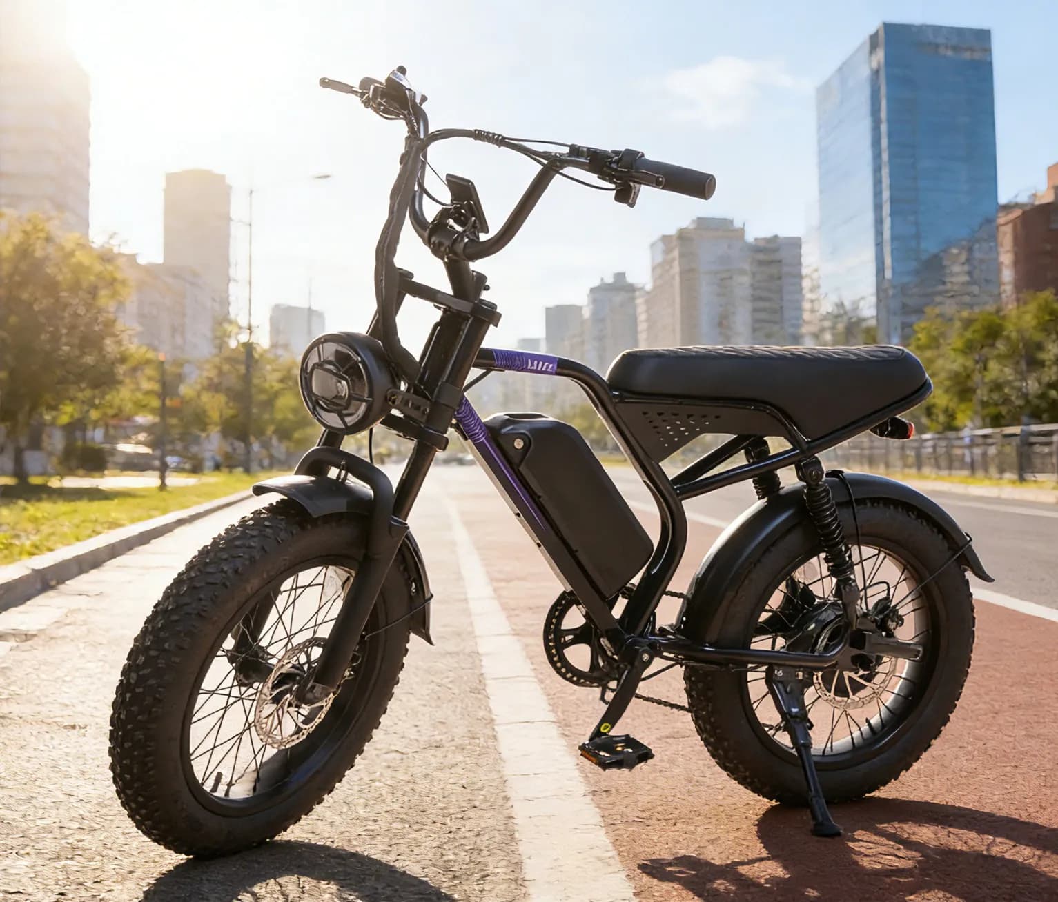 Electric Off Road Mountain Bike, 48V500W, Seven Speed, Fat Tires,Disc Brake,Shock Absorption, Lithium Battery, Front Rear Lights