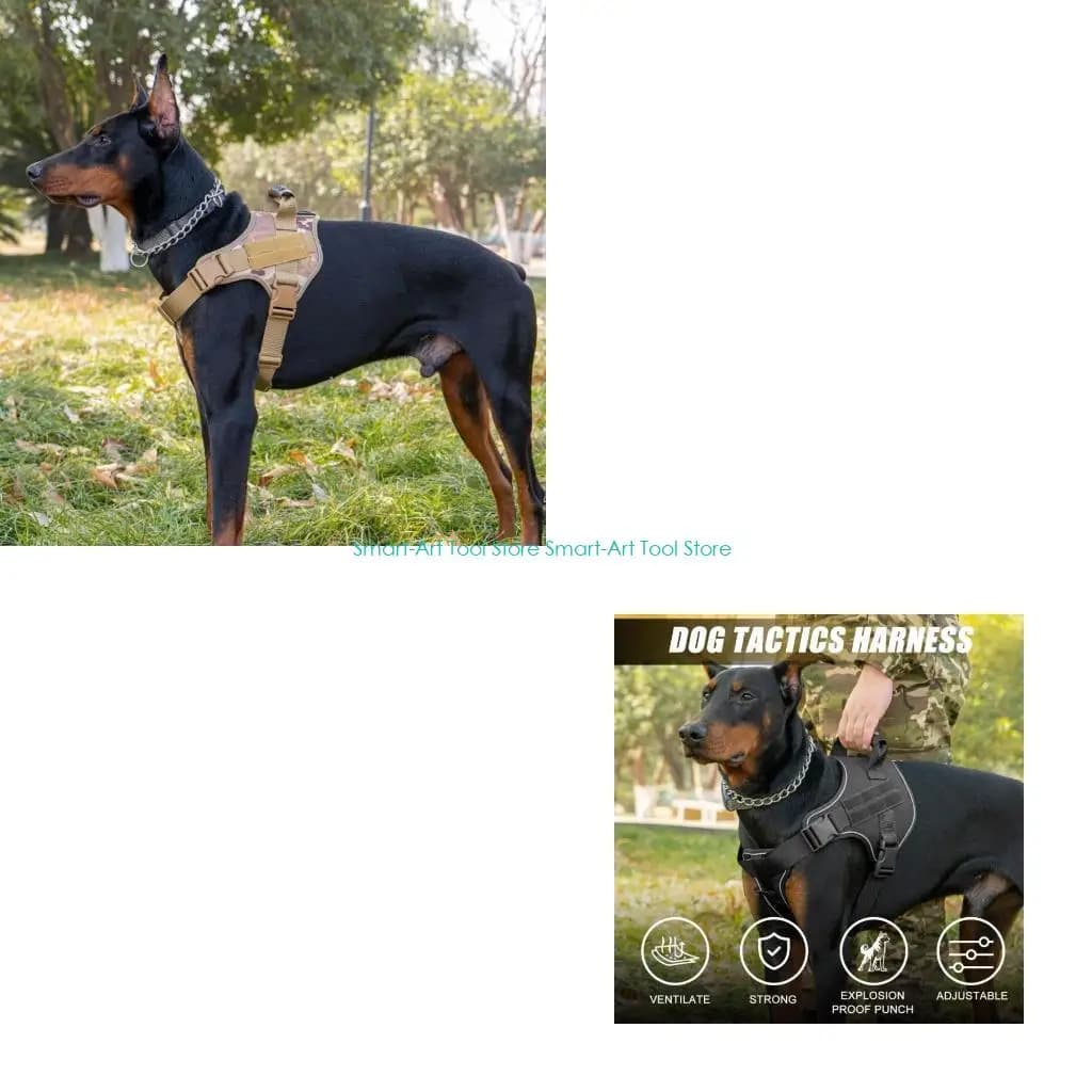 E1PB Imbracatura per cani Imbracatura per addestramento Gilet per animali con impugnatura rinforzata Attrezzatura da