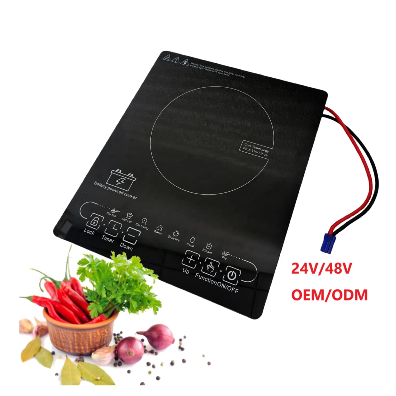 Best selling Mini portable solar rice cooker for motorhome Smart DC 12V/24V/48V Battery induction cooker for outdoor camping