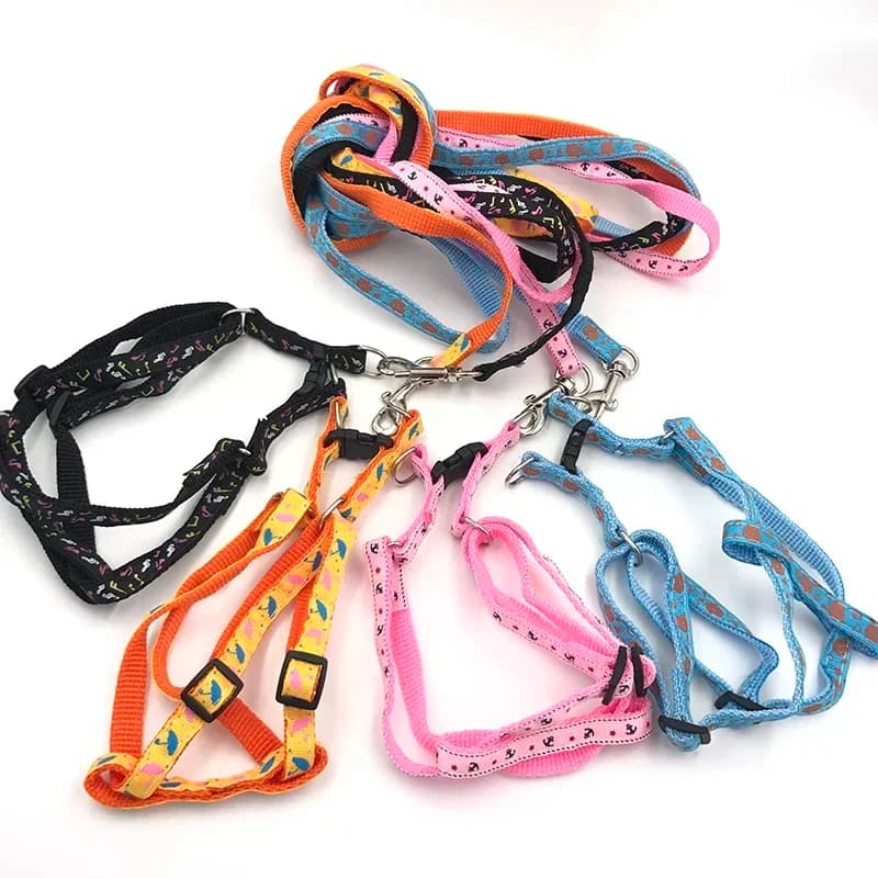 Durable Adjustable Nylon Pet Dog Collar Harness Set Dog Leashes Dog Cat Lead Leash Training Walking Vest Lead