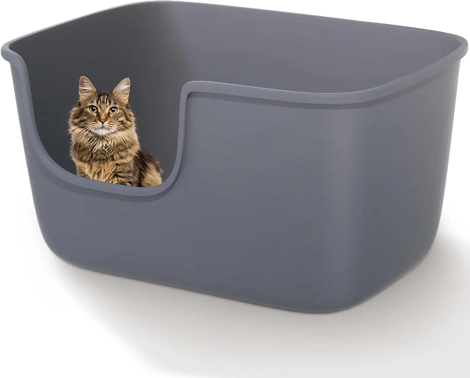 Lettiera per Gatti Grande con Bordi Alti e Ingresso Basso, 22.2x14.9x12 Pollici, Grigia - Facile da Pulire per Gatti da Interno