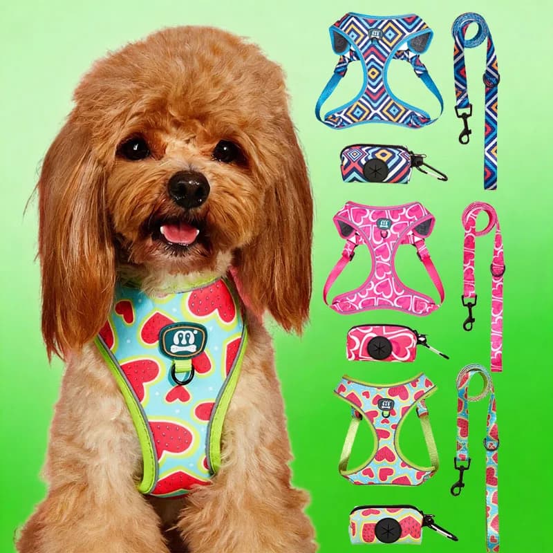 Set 3 Pezzi: Pettorina Riflettente Regolabile e Guinzaglio con Dispenser Sacchetti per la Raccolta delle Deiezioni per Cani - Ideale per Passeggiate e Addestramento, Guinzaglio Resistente