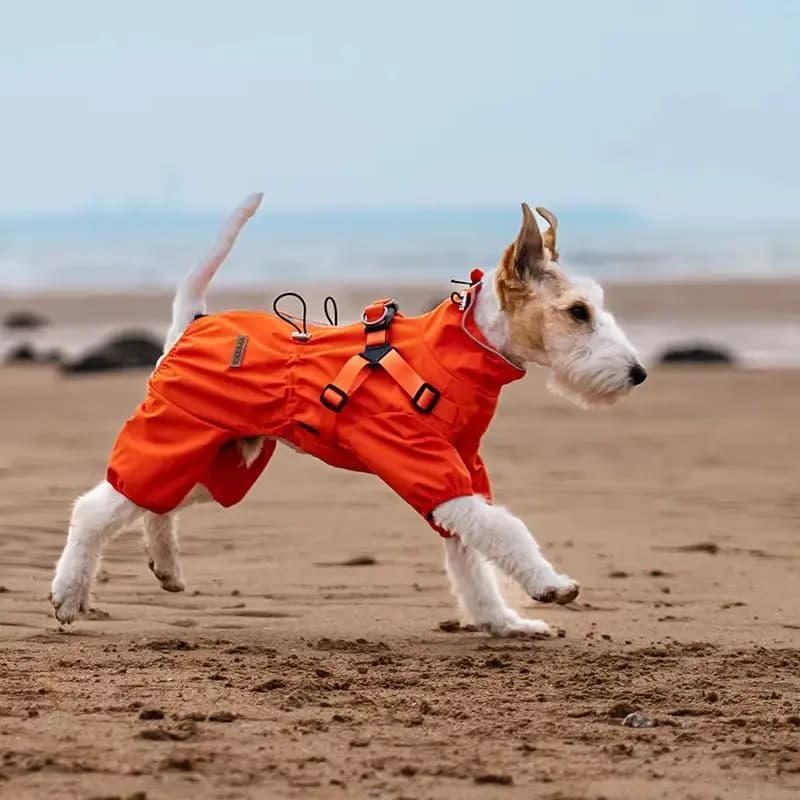 Waterproof Dog Raincoat with Harness Adjustable Reflective Pet Rain Jacket for Small Dogs 4 Legs Overalls