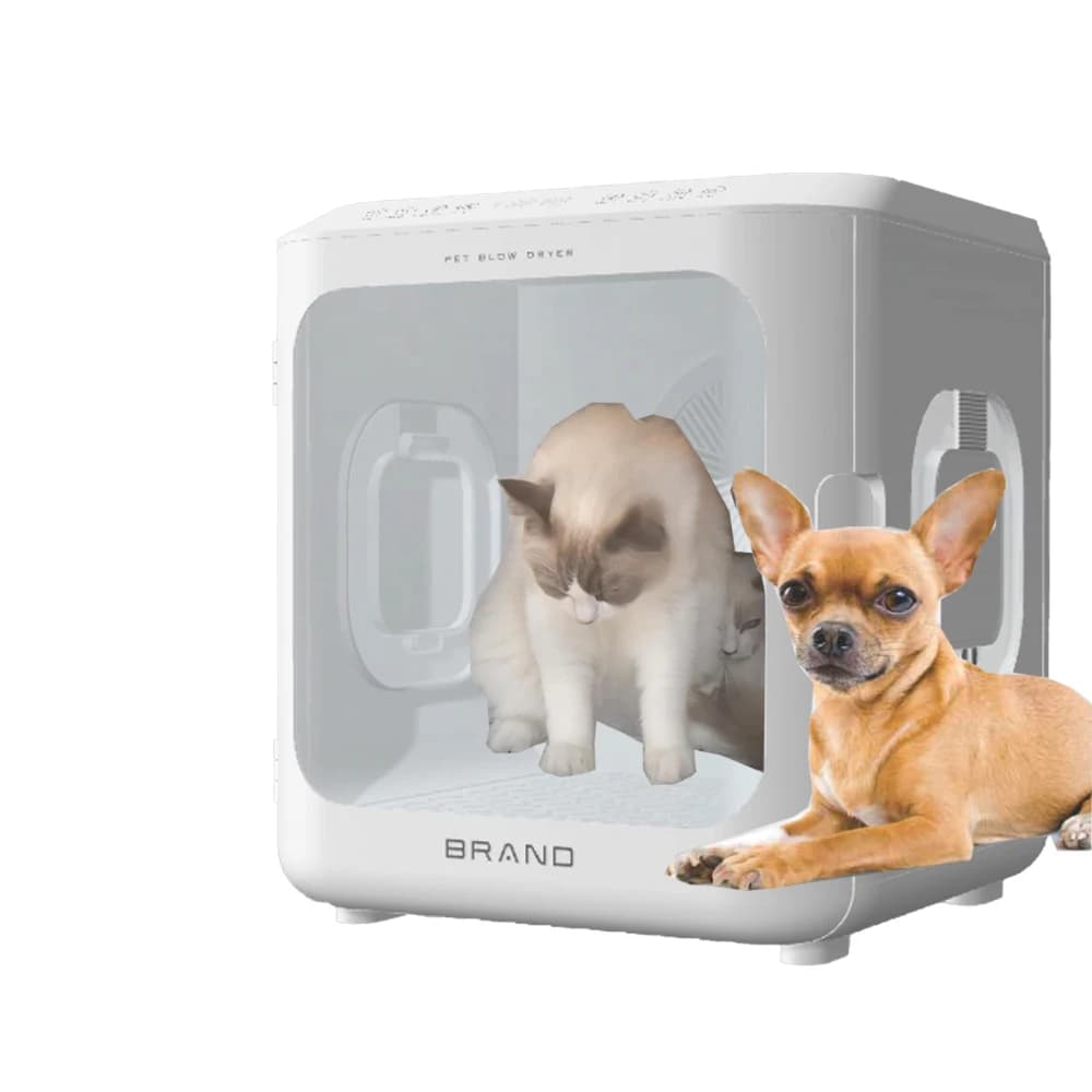 Macchina Automatica per la Toelettatura e l'Asciugatura degli Animali Domestici, Asciugatrice Professionale per Cani e Gatti