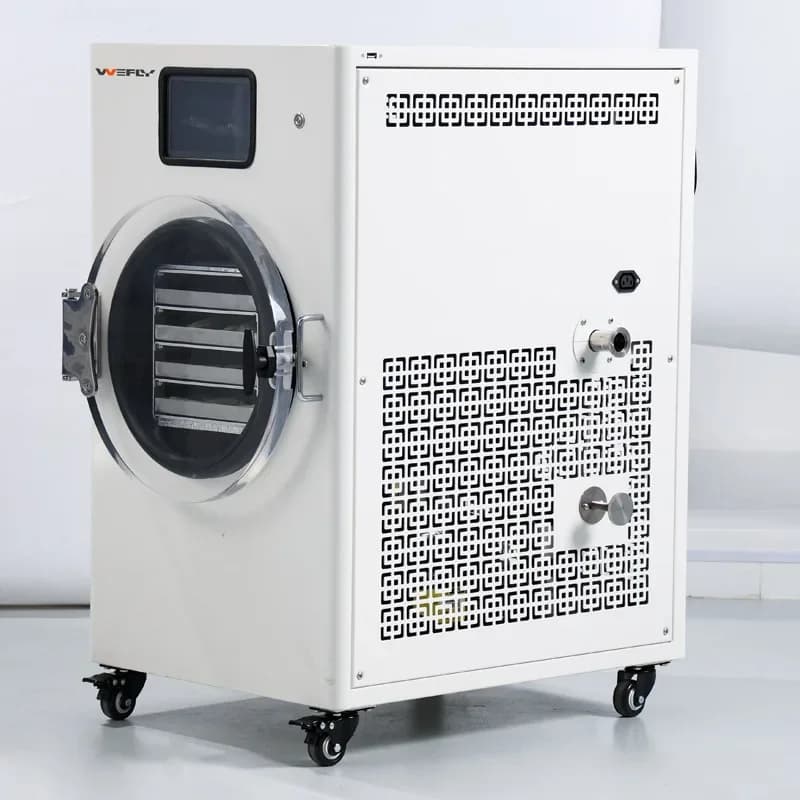 Mini macchina per liofilizzare alimenti sottovuoto essiccato cibo per animali domestici essiccatore per frutta e verdura polvere di caramelle secche per perdita di peso