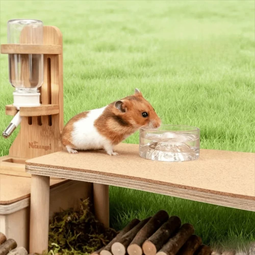 Mountain Raised Crystal Glass Hamster Feeding Bowl Anti-tip Mini Hamster Food Bowl Transparent Pet Watering Bowl Small Pet