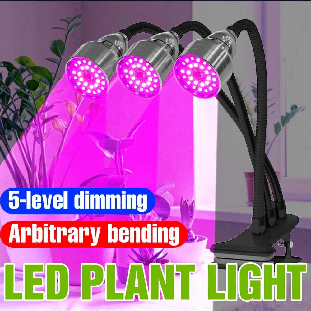 5V Full Spectro USB LED Lamp for Plants, Indoor Cultivation Table Light, Hydroponic System for Serre, Lighting for Flowers, Semi and Vegetables