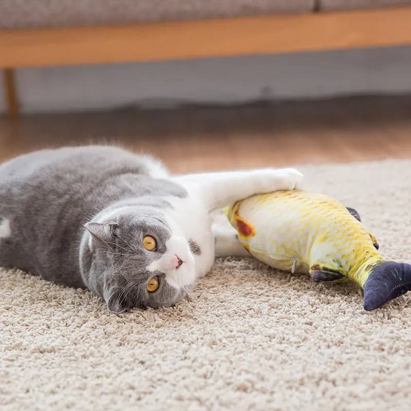 3D Simulation Carp Fish Cat Toy Soft Plush Interactive Catnip Toy Salmon Crucian Fish Shape Pet Throw Pillow for Cats