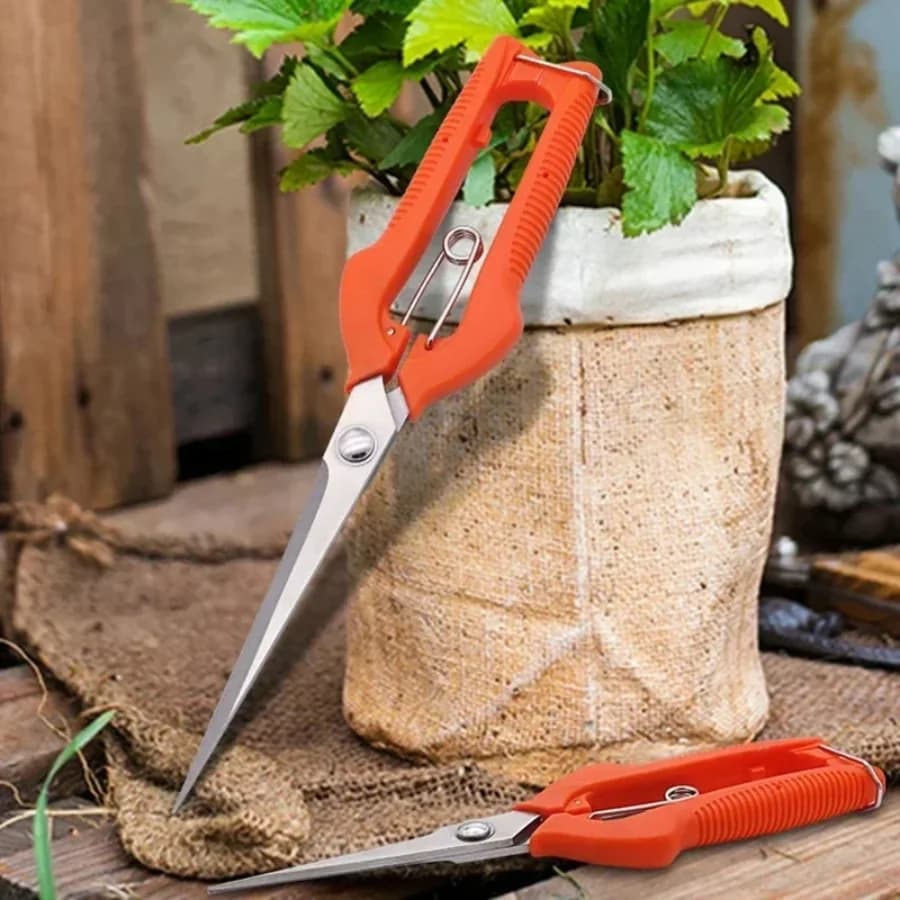Professional Stainless Steel Potting Scissors with Safety Block for Screws, Vegetables, Bonsai and Fruit Collection - New