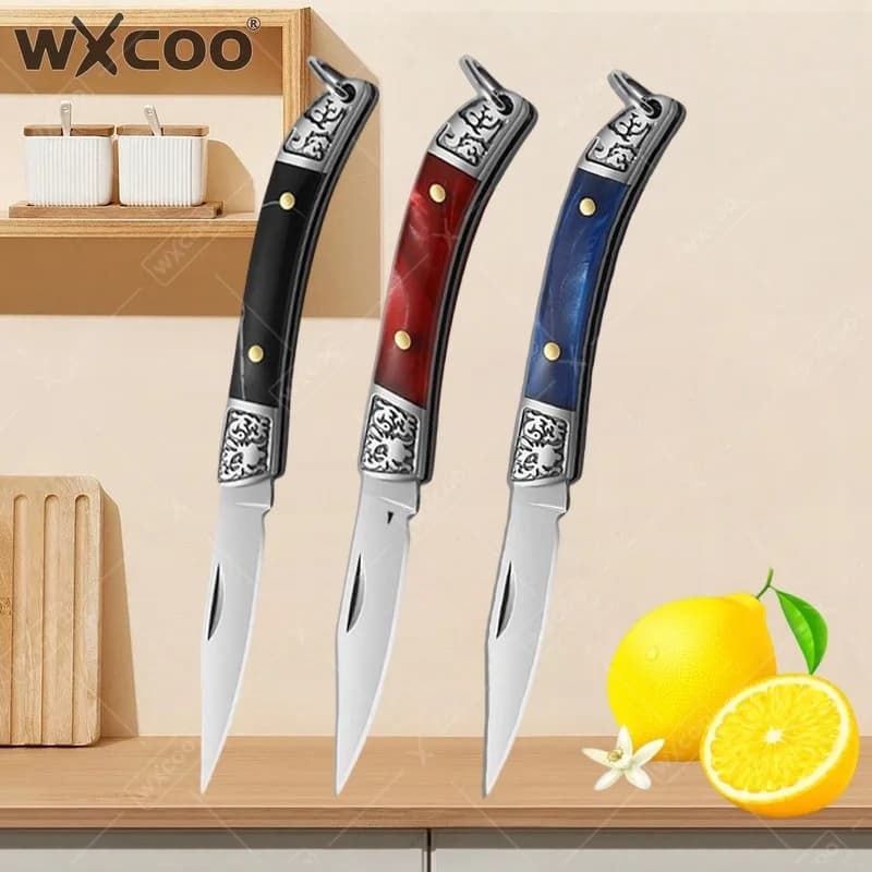 Coltello Mini in Acciaio Inox WXCOO con Manico Antiscivolo, Coltello Pieghevole Multifunzionale da Cucina per Pelare Frutta