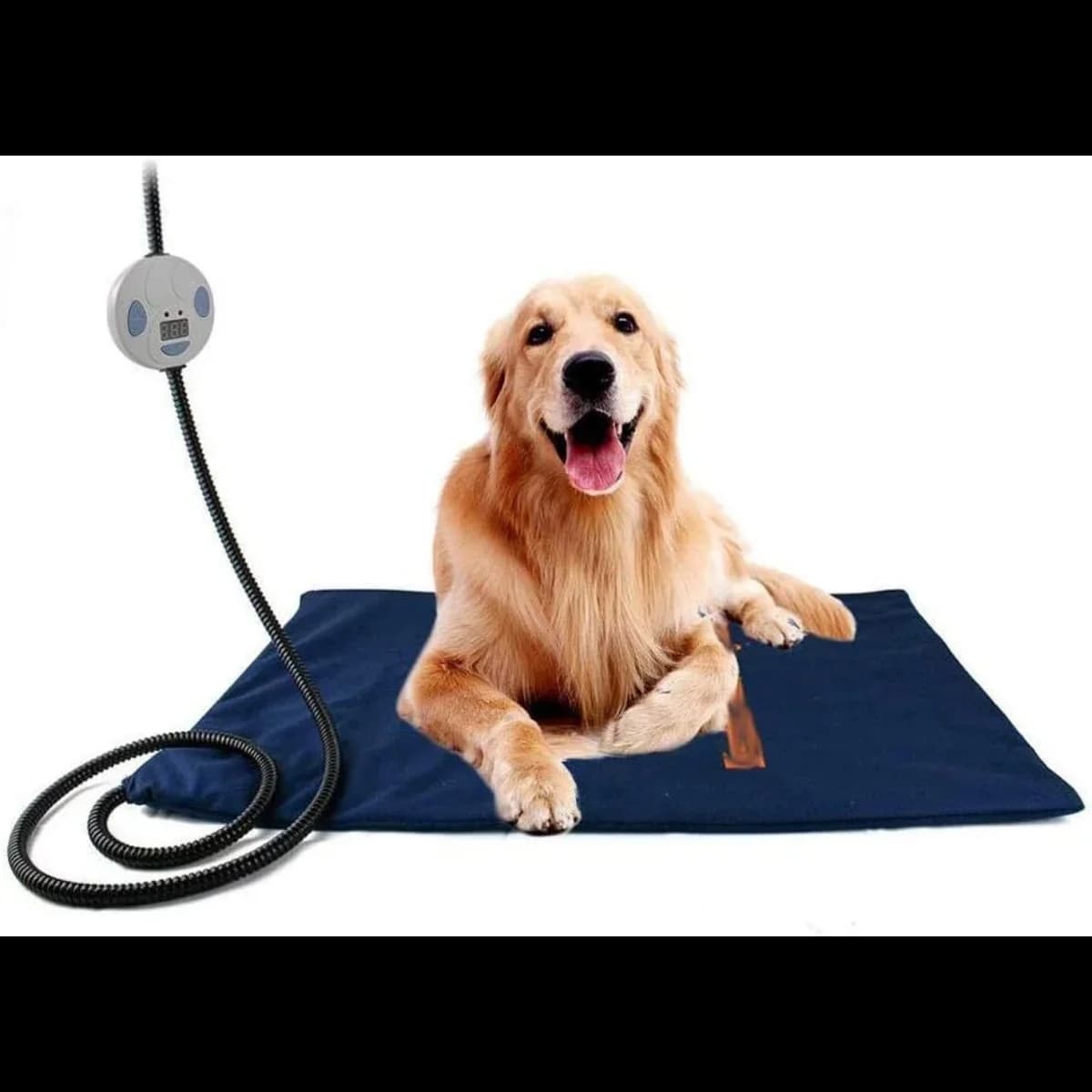 Tappetino riscaldante per cani in PET, cuscinetti riscaldanti per animali domestici per interni per cani gatti con cavo resistente alla masticazione, tappetino riscaldato elettrico per animali domestici di lunga durata