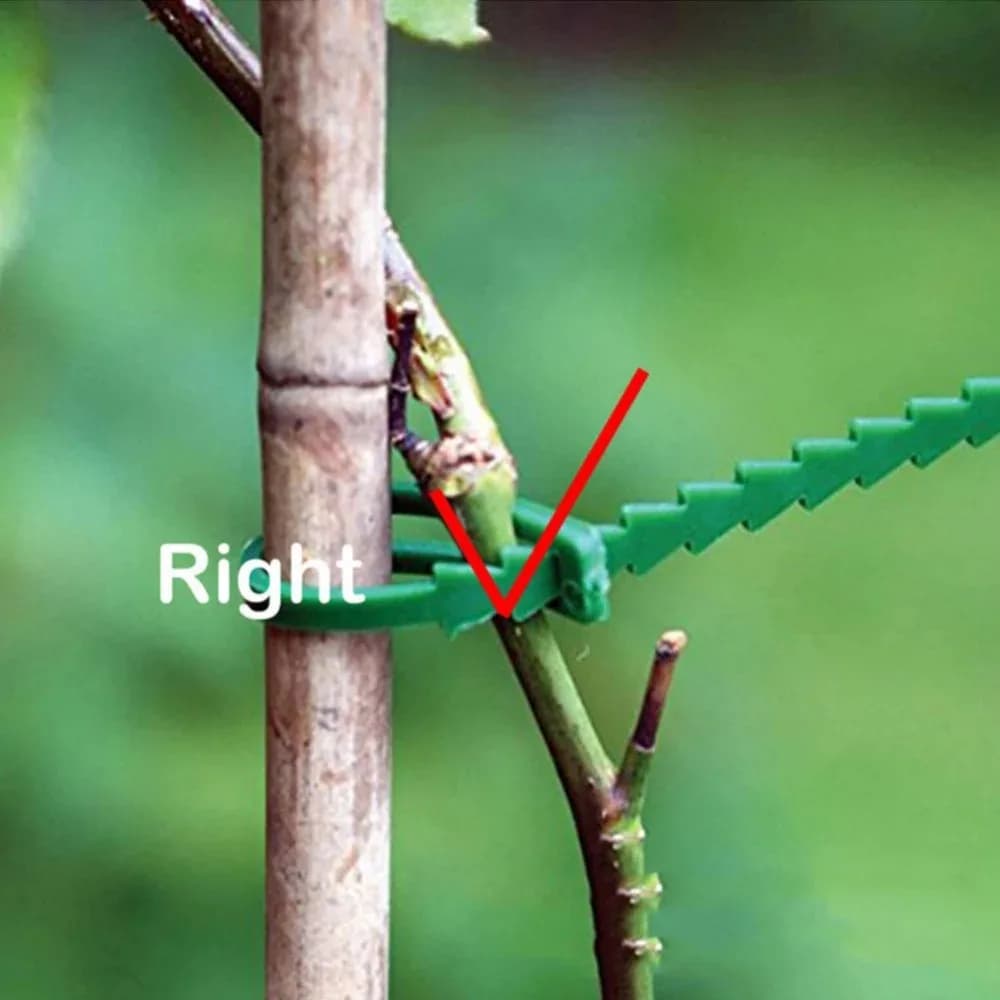 202650-500 pz Fascette Regolabili in Plastica Riutilizzabili per Piante, Supporto per Alberi da Giardino, Rampicanti, Steli di Pomodoro