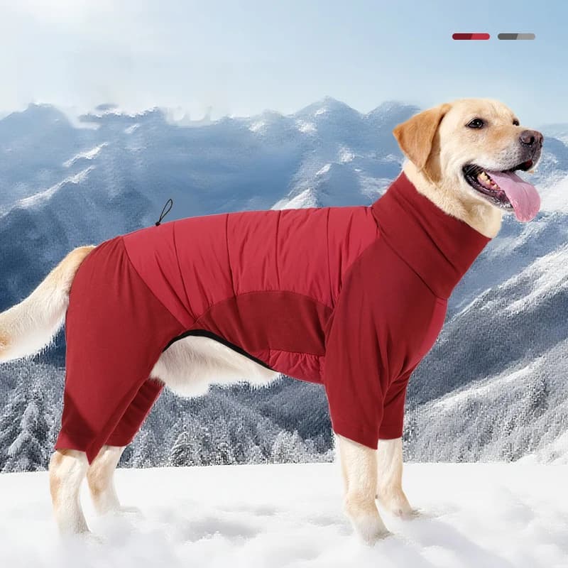 Tuta regolabile con quattro gambe dei pantaloni, vestiti per cani, tuta da neve impermeabile, calda, antivento, con cappuccio, costume da cucciolo