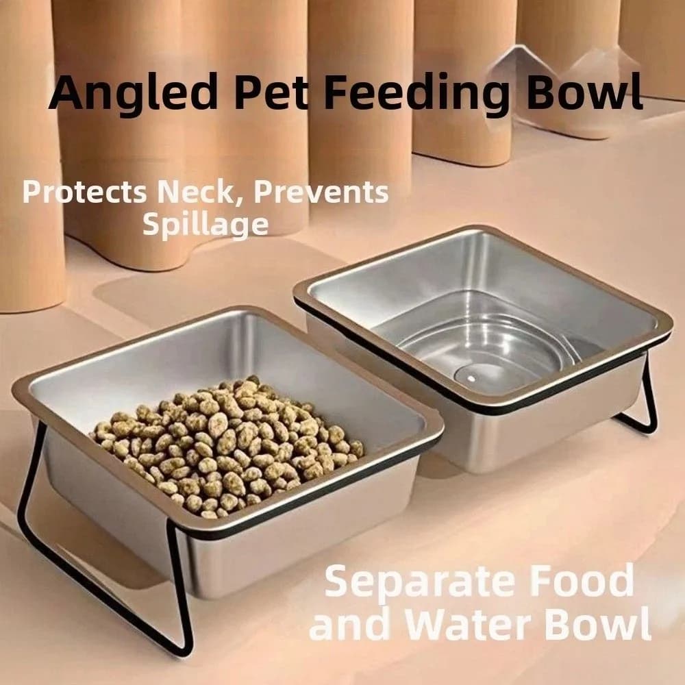 Ciotola per Cani in Acciaio Inossidabile con Protezione Collo, Antiribaltamento, Ciotola Rialzata per Acqua e Cibo per Gatti e Cani