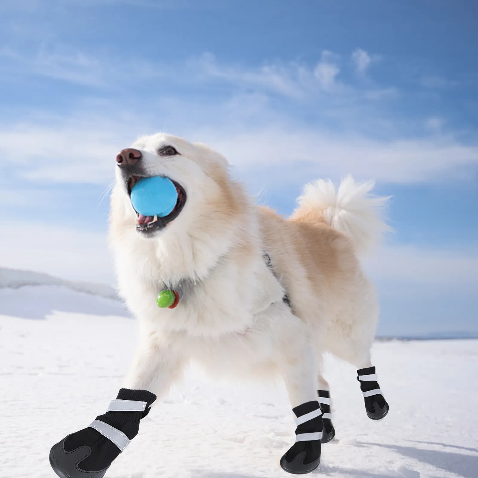 Dog Boots 4 Piece Set Black All Weather Shoes for Medium Large Dogs Snow Hiking Running Nonslip Warm