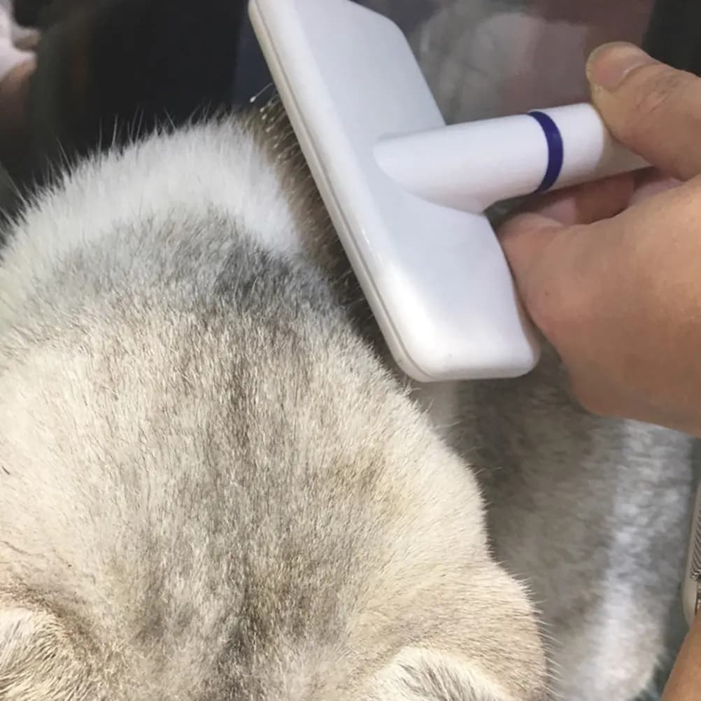 Spazzola per Toelettatura Animali Domestici con Impugnatura Comoda, Perni in Acciaio Inossidabile, Districa e Rimuove Nodi e Peli Sciolti, Spazzola per Cani e Gatti, Accessori per la Toelettatura