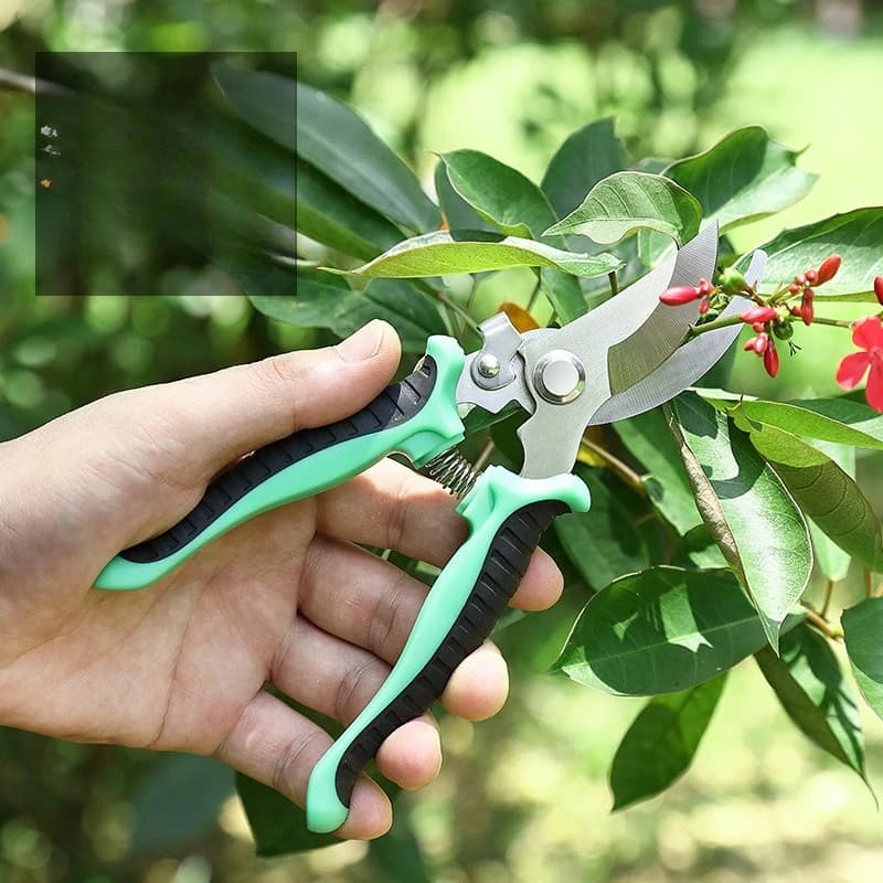 Set of Power Scissors, Garden Baskets for Bonsai, Frutteto, Flower and Fruit Rams, Garden Tools Stainless Steel
