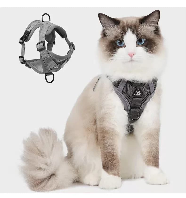 Imbracatura per gatti, set di imbracature pettorali in morbida rete regolabile anti-fuga per tutti i tipi di gatti, gilet per gatti