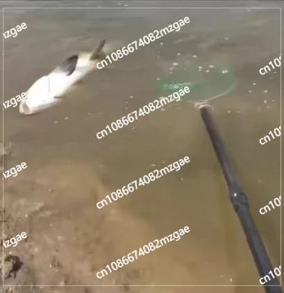 Canna integrata CNC New Energy Canna a rete integrata telescopica e pieghevole a caldo Attrezzo da pesca con guadino in plastica CNC
