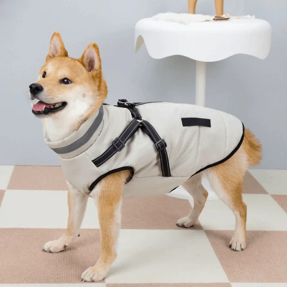 Giacca Calda Regolabile per Cani con Cerniera, Antivento, Impermeabile, Riflettente, con Imbracatura Integrata, per Cuccioli