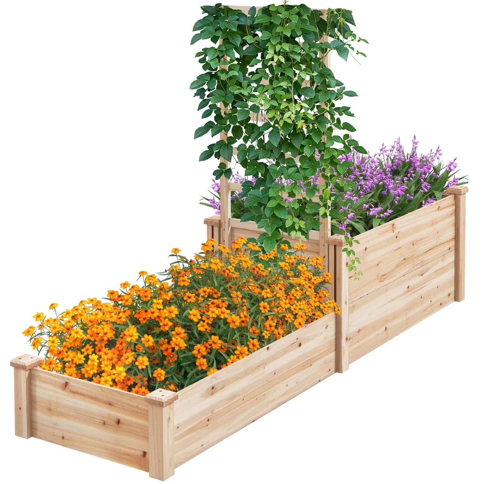 Aiuola da Giardino Rialzata in Legno di Abete 88" x 25" x 53" con Base Aperta e Contenitore per Compostaggio