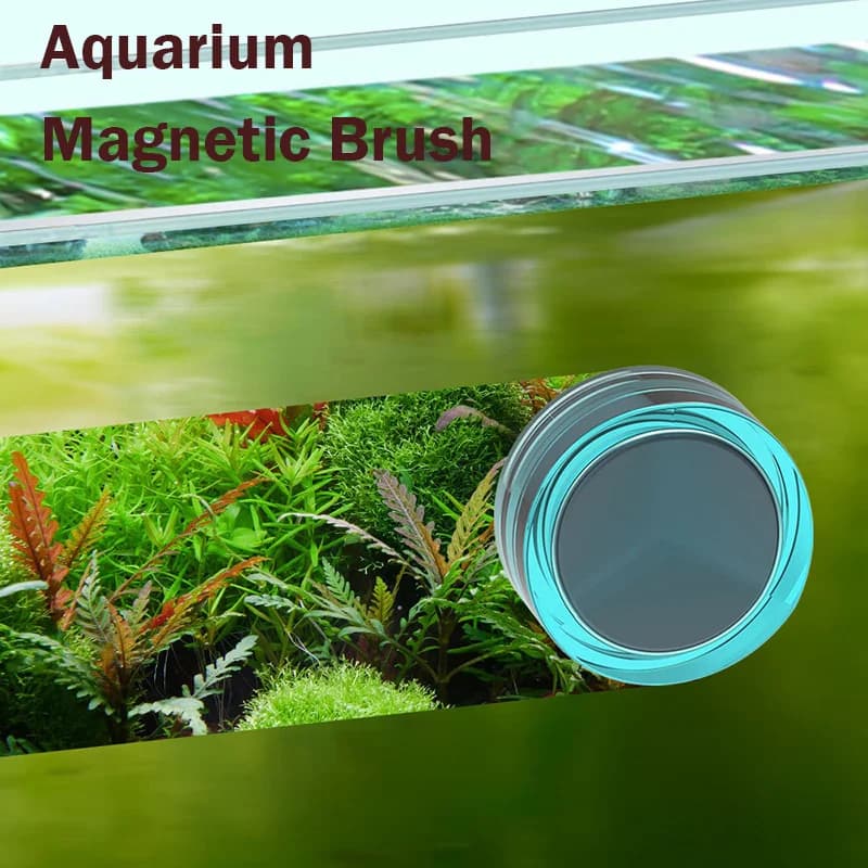 Qanvee acquario spazzola magnetica strumenti per la pulizia del serbatoio di pesce accessori per la pulizia del vetro ciotola per pesci Akvarium merci pesca alle alghe