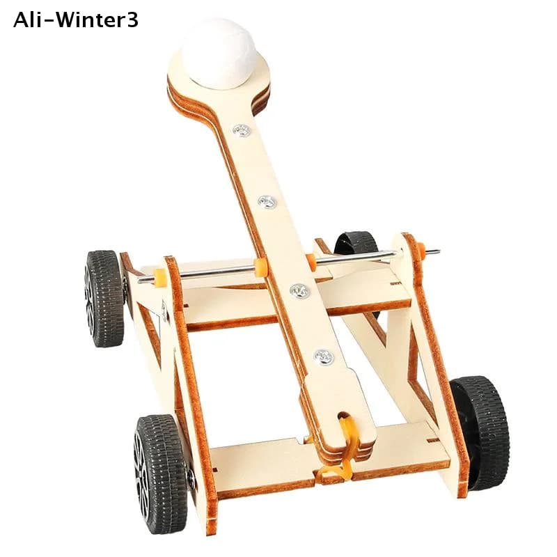 【WY】1 Set Kit per Esperimenti Scientifici Fai-da-Te e Modello Educativo, Giocattolo Catapulta Fai-da-Te, Giocattoli Scientifici di Fisica per Bambini, Progetto Regalo