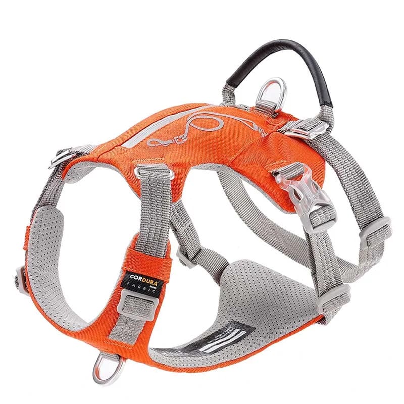Winhyepet Pettorina per Cani con Zaino, Gilet Tattico Riflettente da Esterno, Pettorina Regolabile per Cani da Servizio e da Passeggio