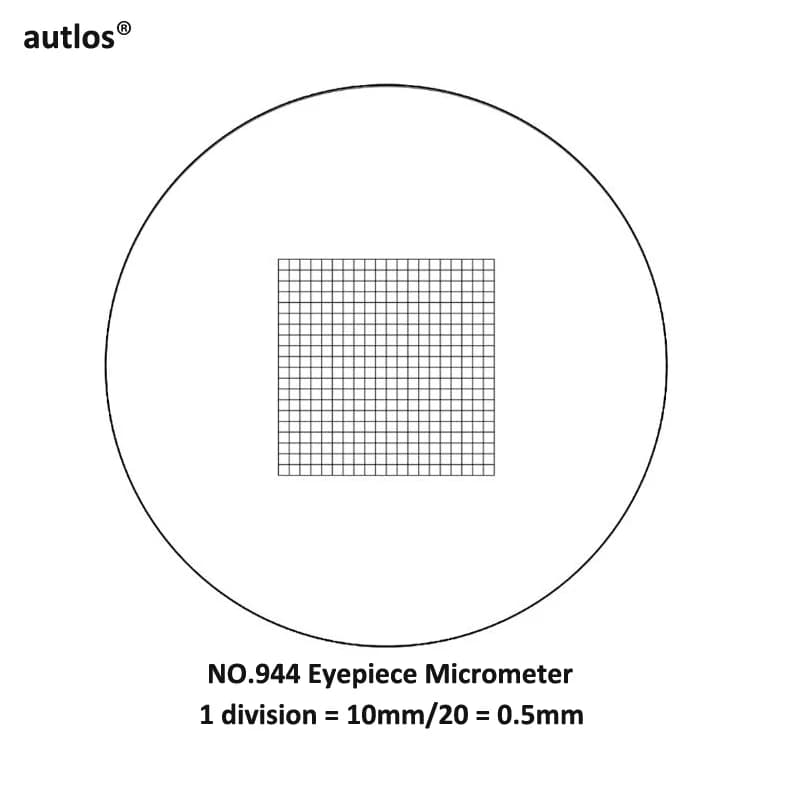 944 Divisione 0,5 mm Griglia Micrometro Reticolo in vetro ottico Reticolo Righello a rete incrociata per microscopio