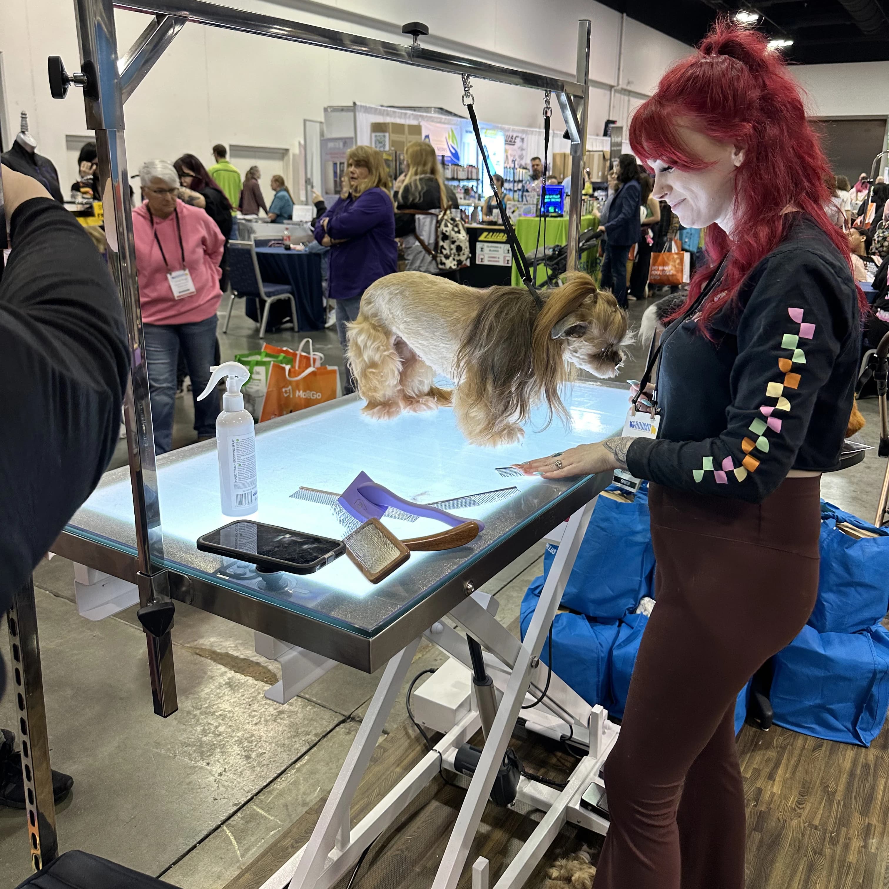Spettacolo di saloni per animali domestici Toelettatura per animali domestici con sollevamento elettrico con luce a LED Parrucchiere a carica