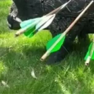 3D Animal Archery Target Decoys Self Healing PU Foam Shooting Target for Compound Crossbow Outdoor Hunting Accessories