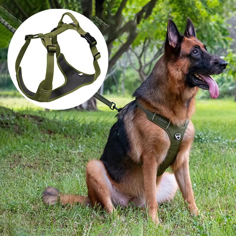 Pettorina per cani di taglia media di tipo H confortevole e traspirante Pettorina per animali riflettente in nylon morbido regolabile con manico Szelki Dla Psa